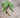 Do weed cartridges expire, do weed cartridges have an expiration date
