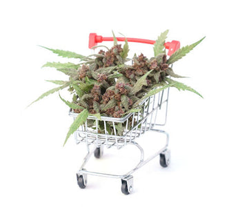 How to open a cannabis dispensary