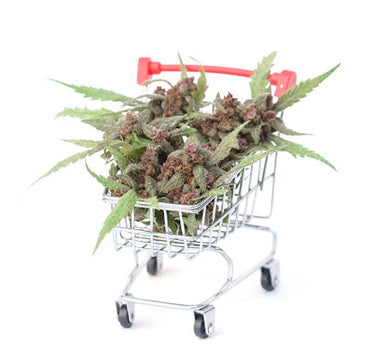 How to open a cannabis dispensary